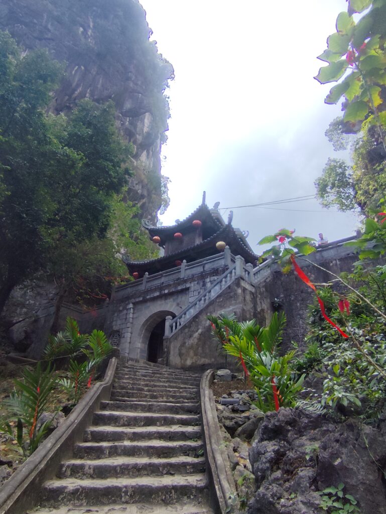 img 20260119 111208
